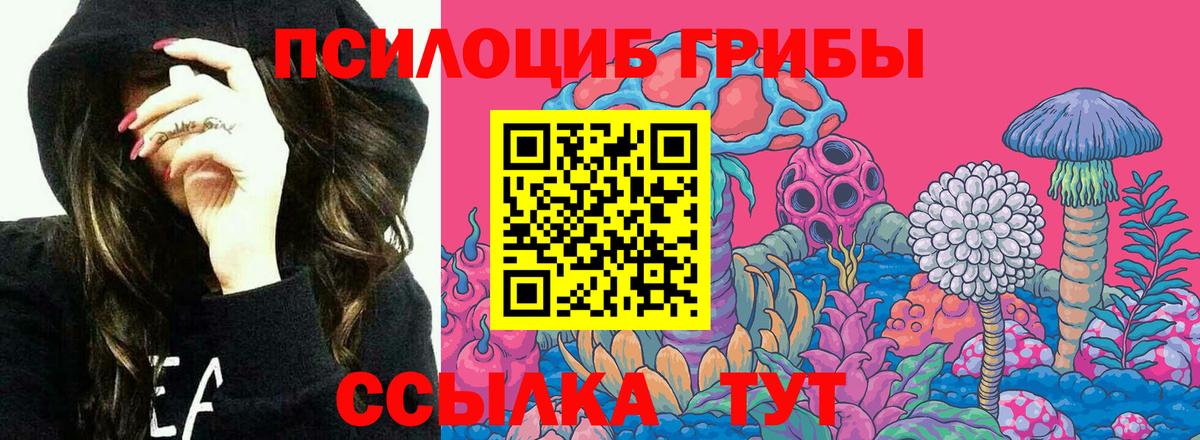 Псилоцибиновые грибы Magic Shrooms  Вход с VPN  Тобольск  Псилоцибиновые грибы Psilocybine cubensis 